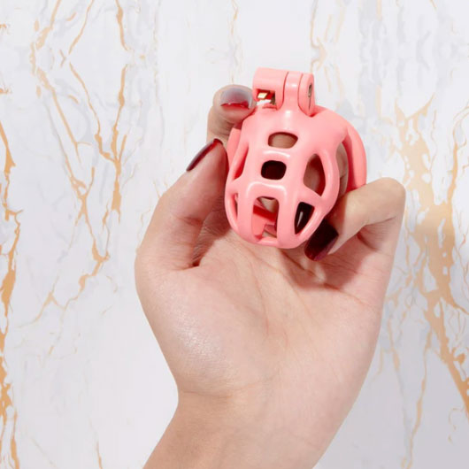 The Guardian chastity cage at OXY Shop